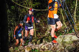 BIB: 
                            <button type="button" onclick="openModal(19382014)" class="btn btn-primary btn-sm float-right btn-popup" data-toggle="modal" data-target=".modal-high-quality">
                        <i class="fas fa-shopping-cart"></i> Add to Cart
                    </button>
                                            <button type="button" onclick="isThisMe(19382014, true)" class="btn btn-success btn-sm float-right btn-popup btn-isme hidden" data-toggle="tooltip" data-placement="bottom" title="นี่คือรูปของคุณใช่ไหม คลิกที่นี่เพื่อเอาเข้าอัลบั้ม">
                        <i class="fas fa-plus"></i> Add to album
                    </button>
                    <button type="button" onclick="isThisMe(19382014, false)" class="btn btn-warning btn-sm float-right btn-popup btn-isnotme hidden">
                        <i class="fas fa-ban"></i> Remove from album
                    </button>